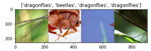 image-20201106145315761